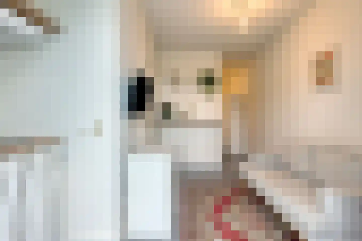Spoorlaan 60 Tilburg thumbnail 82
