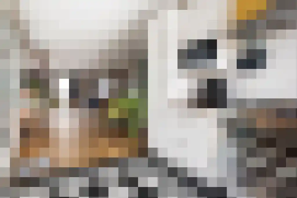 Spoorlaan 61 Abcoude thumbnail 10