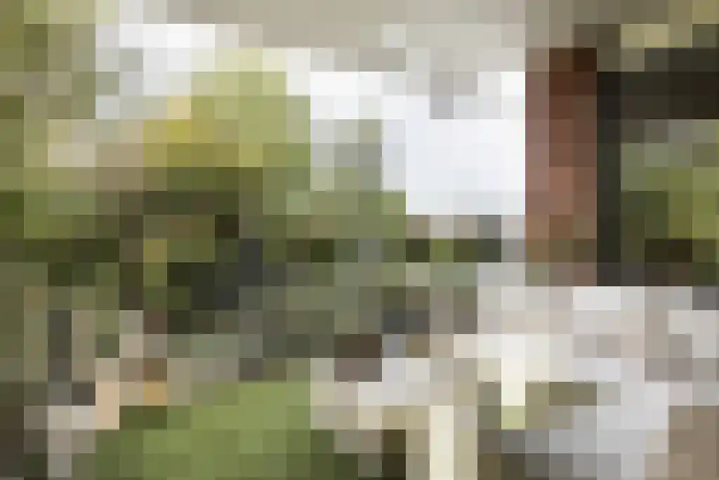 Spoorlaan 61 Abcoude thumbnail 14