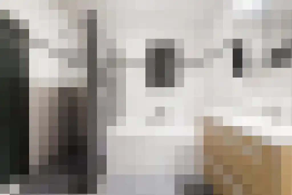 Spoorlaan 61 Abcoude thumbnail 20