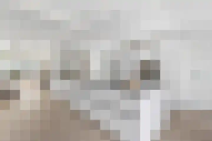 Spoorlaan 62 Hollandsche Rading thumbnail 11