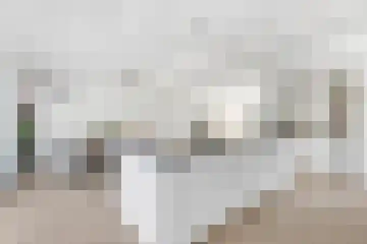 Spoorlaan 62 Hollandsche Rading thumbnail 12