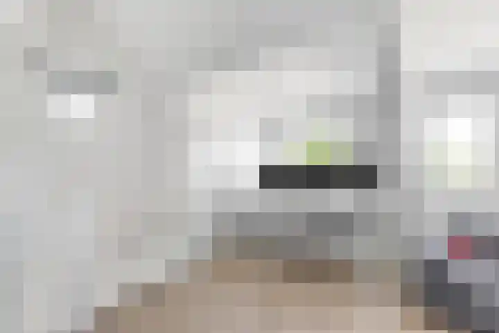 Spoorlaan 62 Hollandsche Rading thumbnail 30