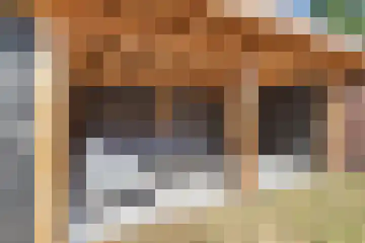 Spoorlaan 62 Hollandsche Rading thumbnail 38