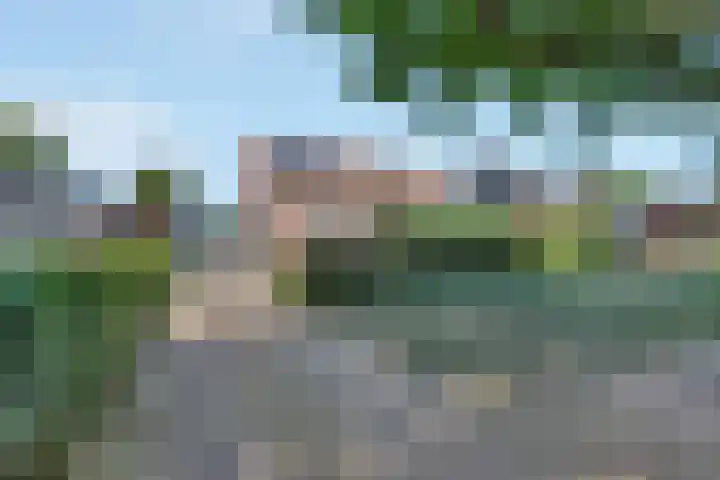 Spoorlaan 62 Hollandsche Rading thumbnail 4