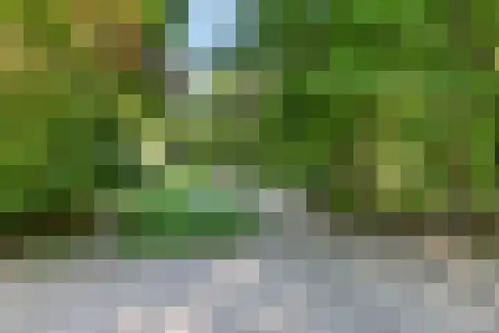 Spoorlaan 62 Hollandsche Rading thumbnail 40