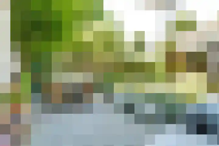 Spoorlaan 62 Oisterwijk thumbnail 22