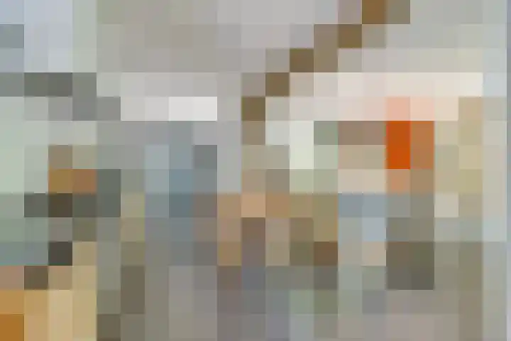 Spoorlaan 62 Oisterwijk thumbnail 8