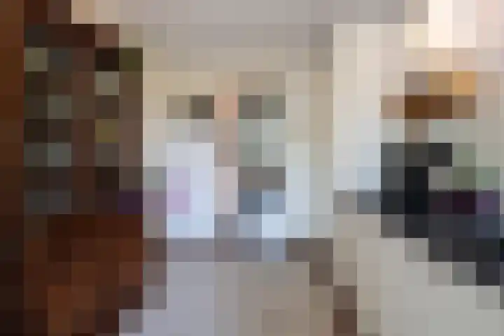 Spoorlaan 68 Tilburg thumbnail 20