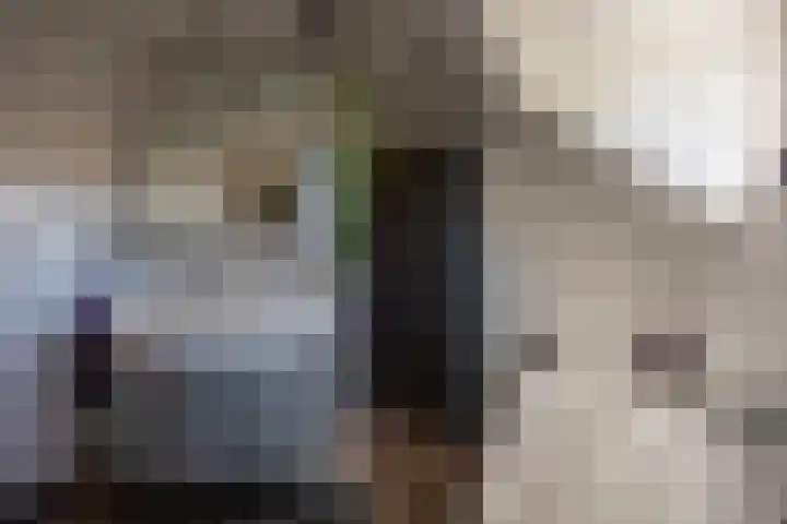 Spoorlaan 68 Tilburg thumbnail 26