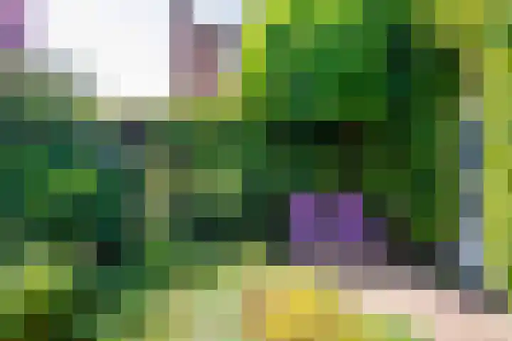 Spoorlaan 68 Tilburg thumbnail 44