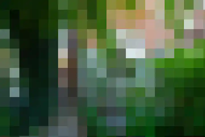 Spoorlaan 68 Tilburg thumbnail 51