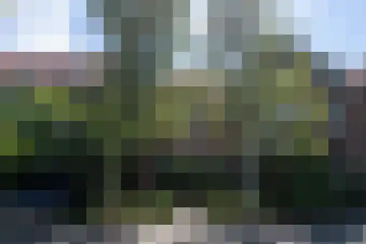 Spoorlaan 68 Tilburg thumbnail 52