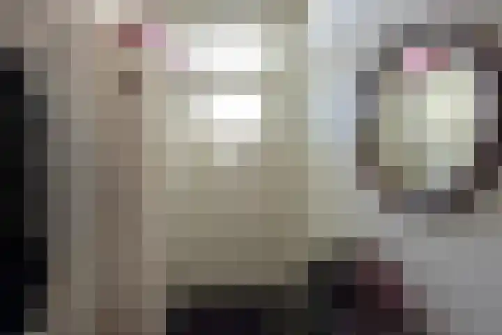Spoorlaan 68 Tilburg thumbnail 8
