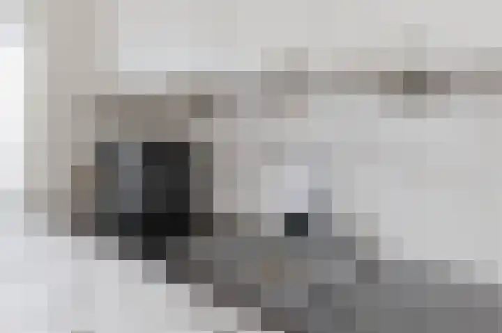 Spoorlaan 69 Abcoude thumbnail 10
