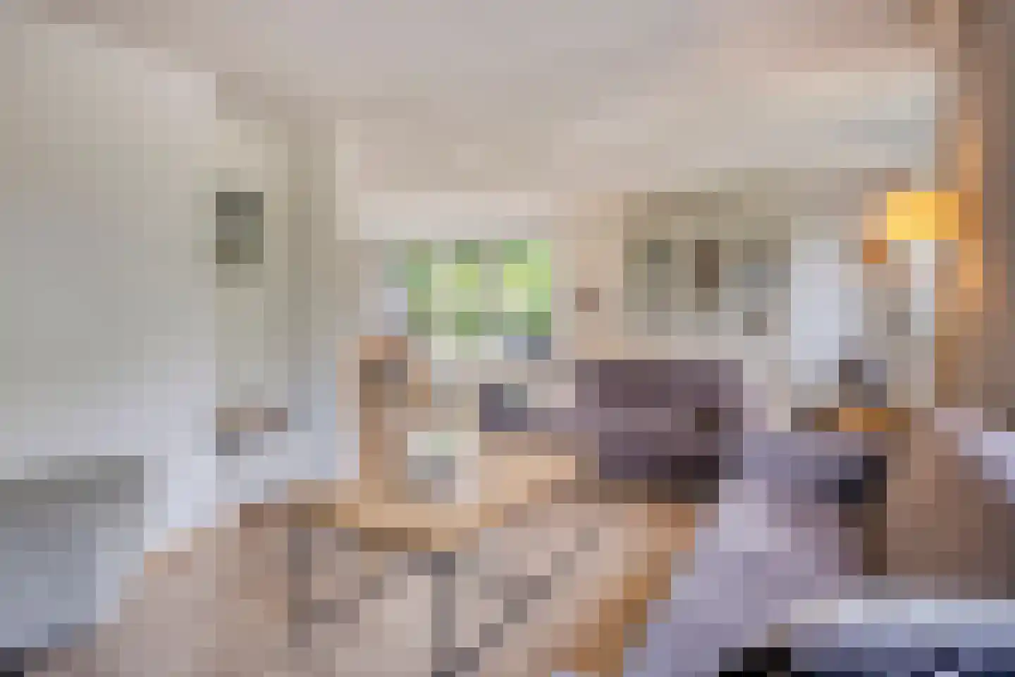 Spoorlaan 7 Heerde thumbnail 10