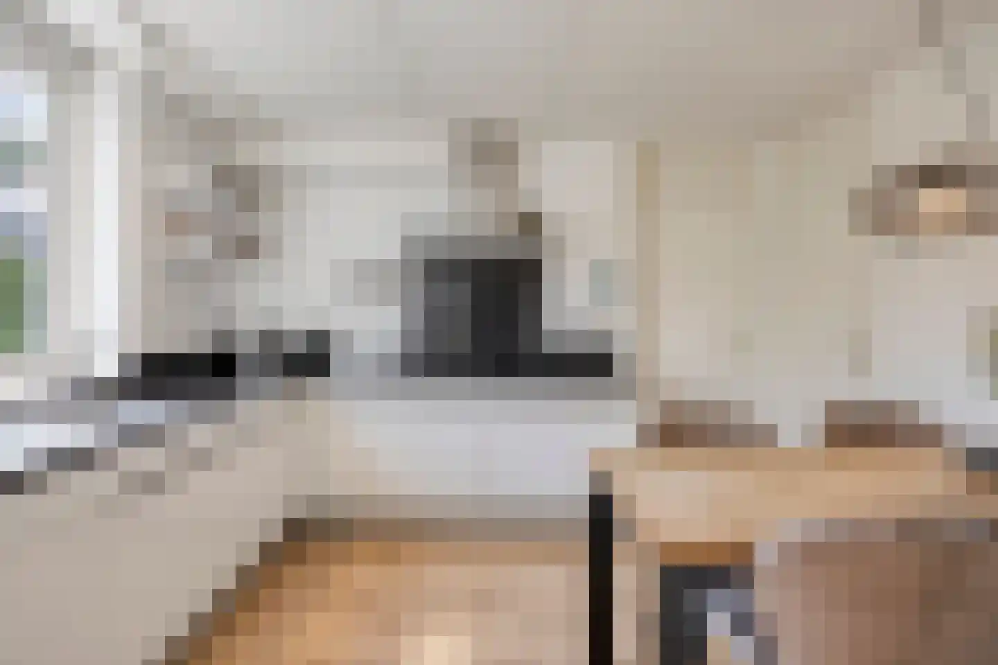 Spoorlaan 7 Heerde thumbnail 16