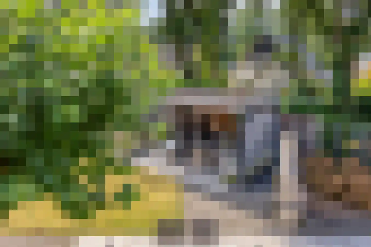 Spoorlaan 7 Heerde thumbnail 26