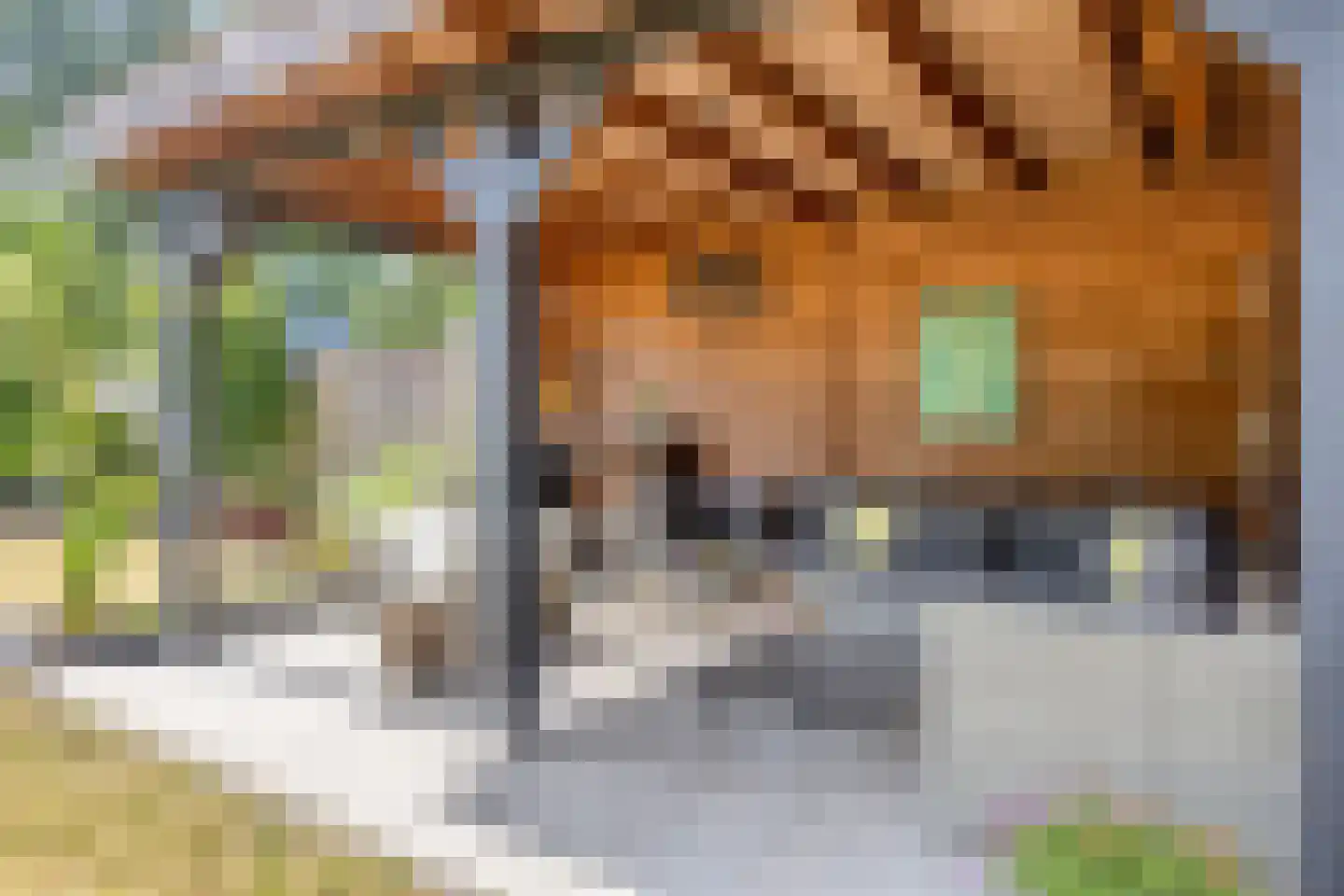 Spoorlaan 7 Heerde thumbnail 37
