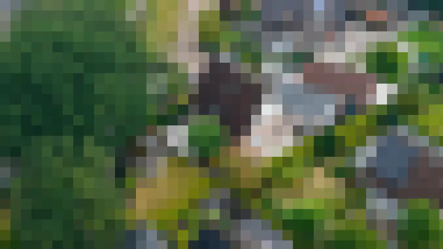 Spoorlaan 7 Heerde thumbnail 42