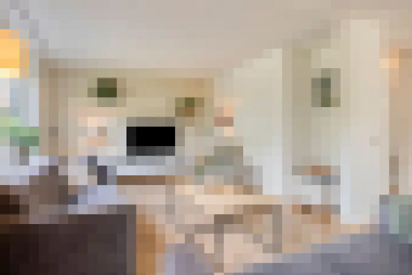 Spoorlaan 7 Heerde thumbnail 8