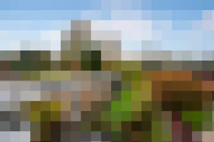 Spoorlaan 72 Hollandsche Rading thumbnail 27