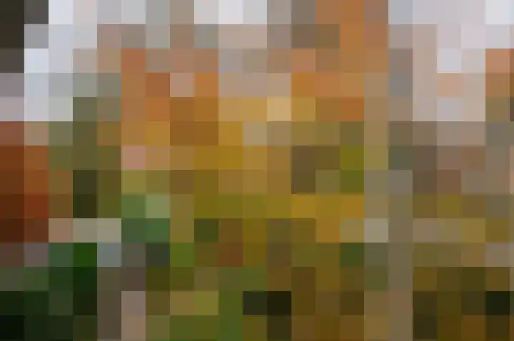 Spoorlaan 72 Hollandsche Rading thumbnail 32