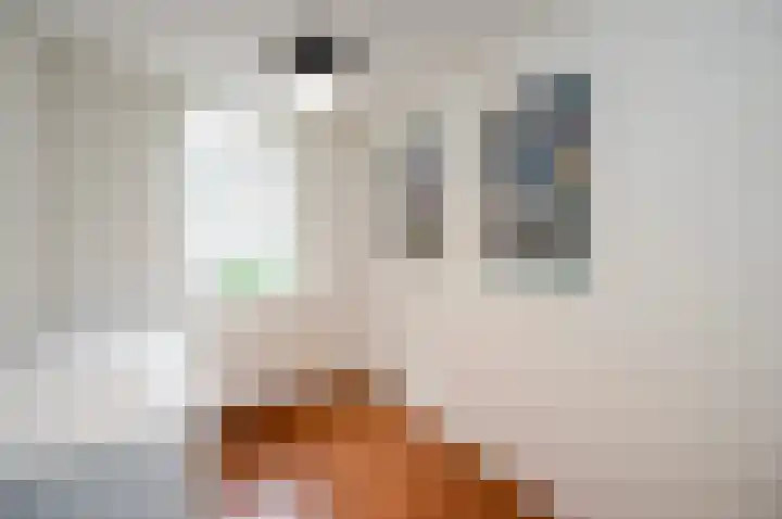 Spoorlaan 72 Hollandsche Rading thumbnail 33