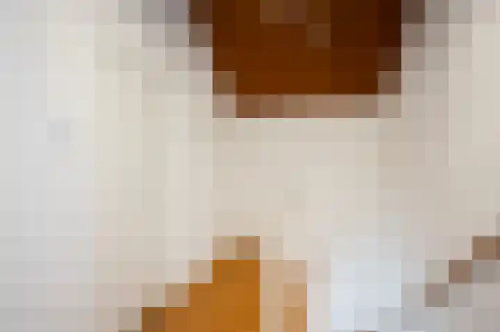 Spoorlaan 72 Hollandsche Rading thumbnail 35