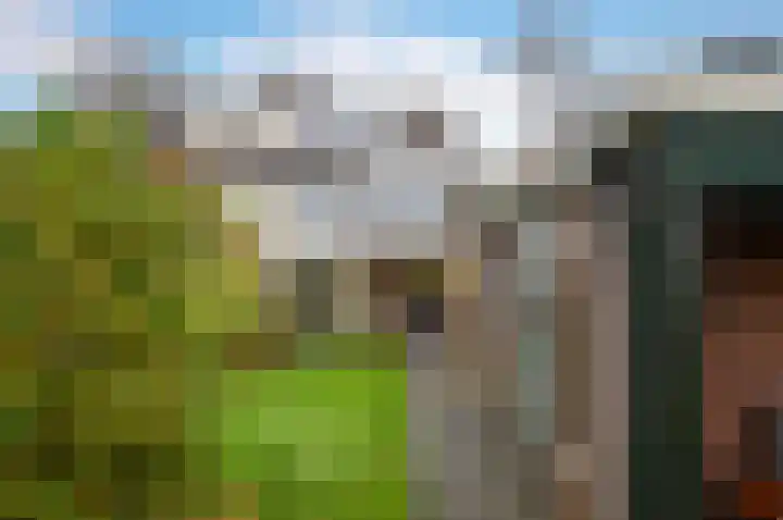 Spoorlaan 72 Hollandsche Rading thumbnail 38