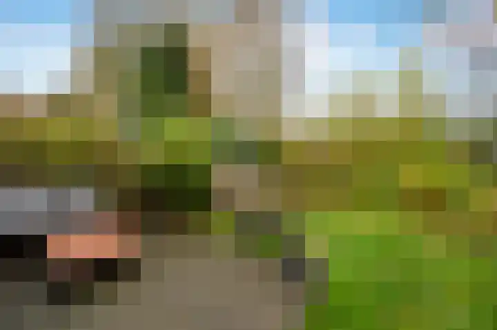 Spoorlaan 72 Hollandsche Rading thumbnail 41