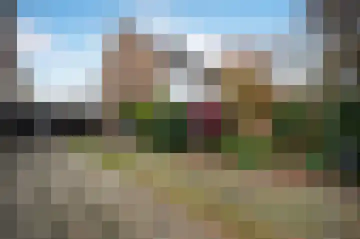 Spoorlaan 72 Hollandsche Rading thumbnail 5
