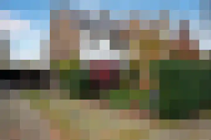 Spoorlaan 72 Hollandsche Rading thumbnail 6