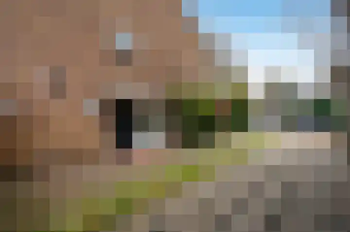 Spoorlaan 72 Hollandsche Rading thumbnail 7