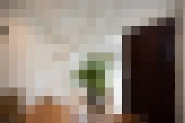 Spoorlaan 72 Hollandsche Rading thumbnail 8