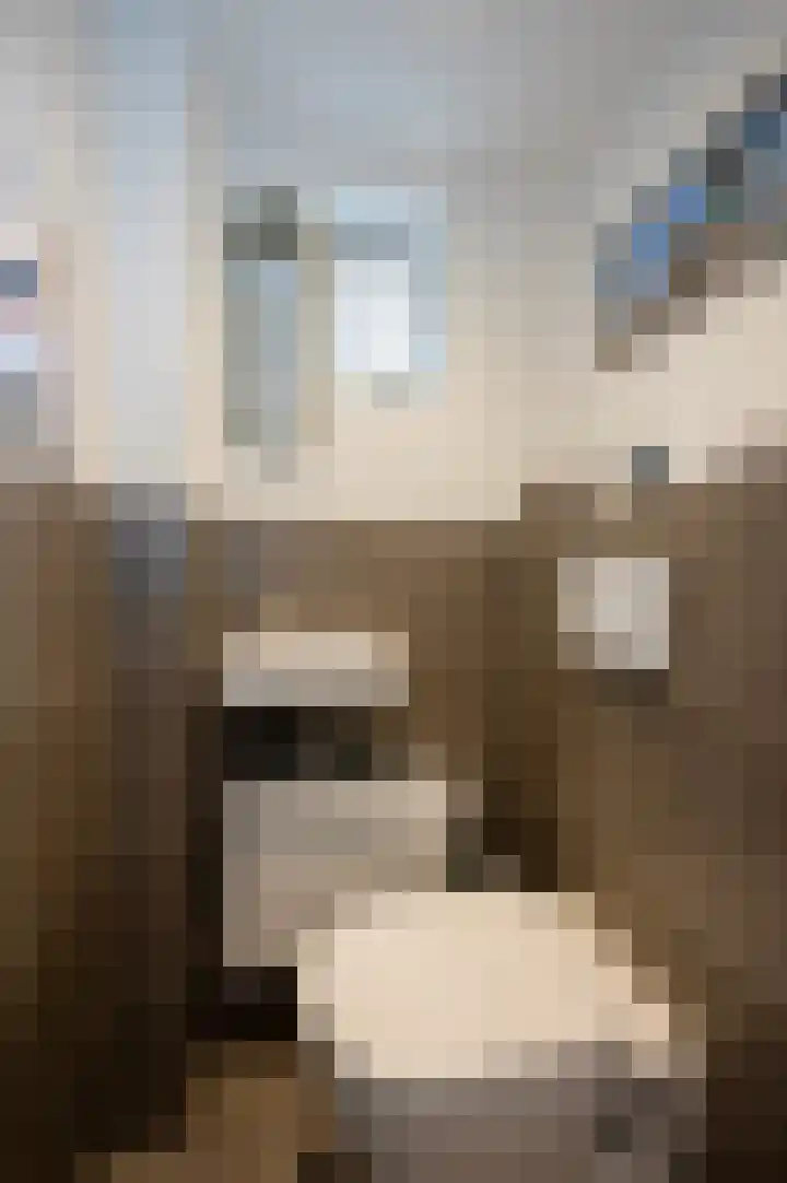 Spoorlaan 72 Hollandsche Rading thumbnail 9