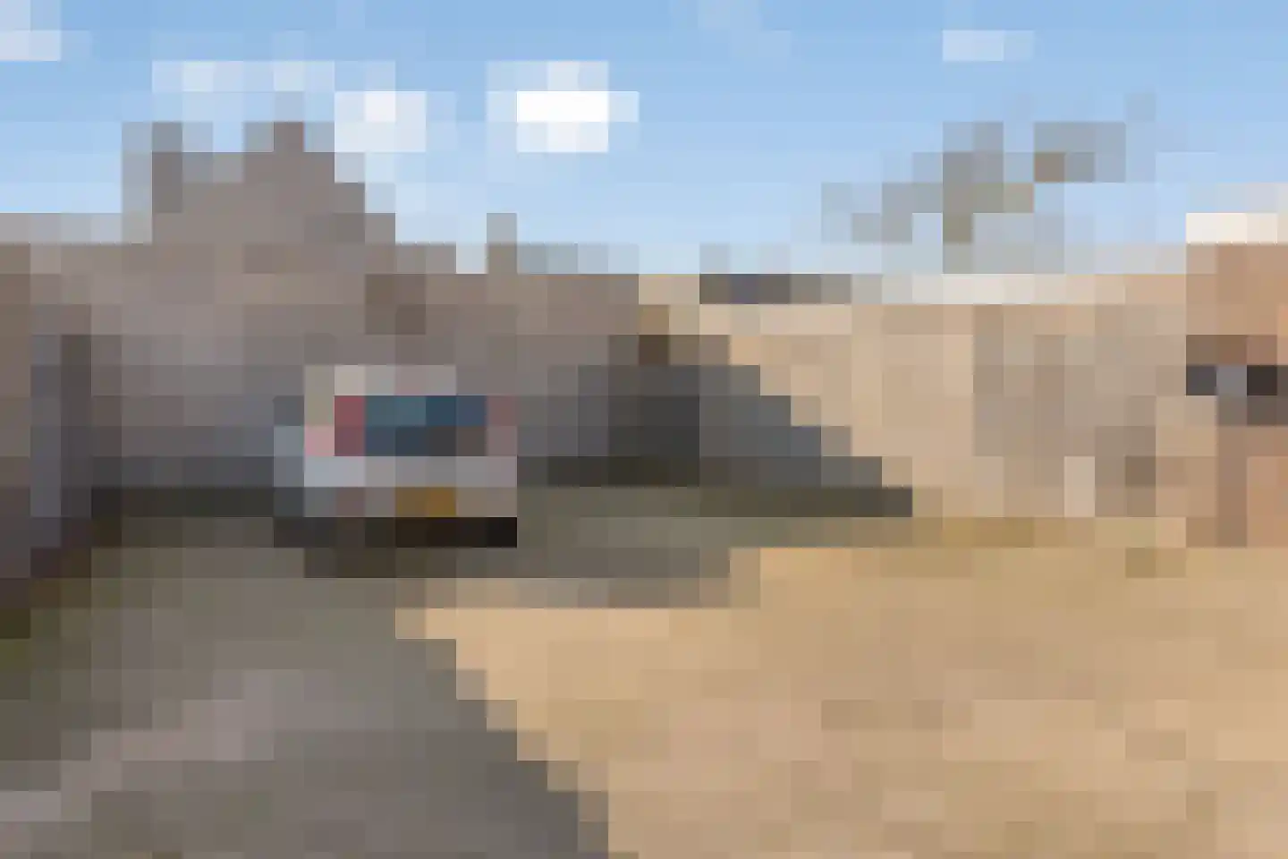 Spoorlaan 74 A Oisterwijk thumbnail 31