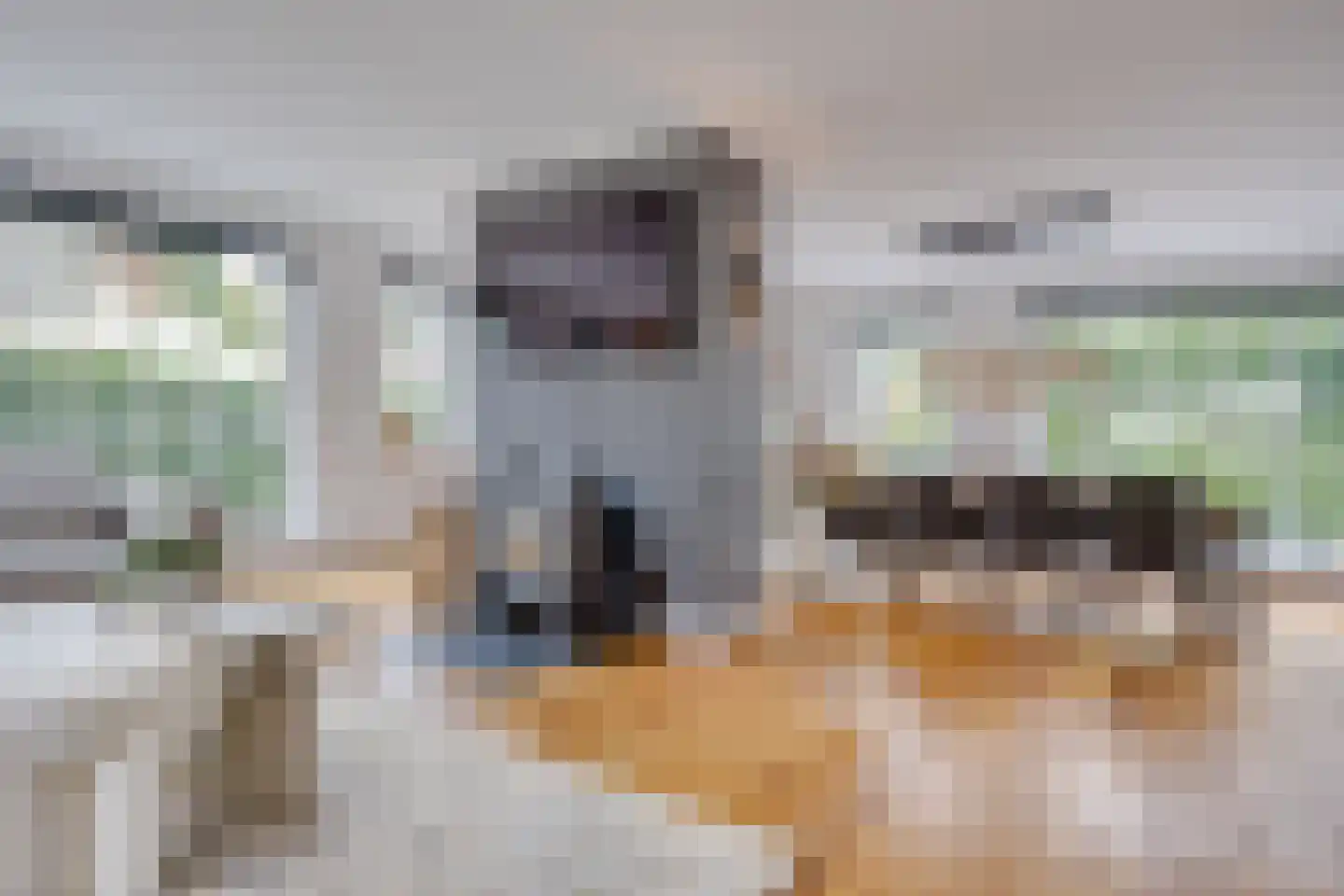 Spoorlaan 75 Hollandsche Rading thumbnail 10