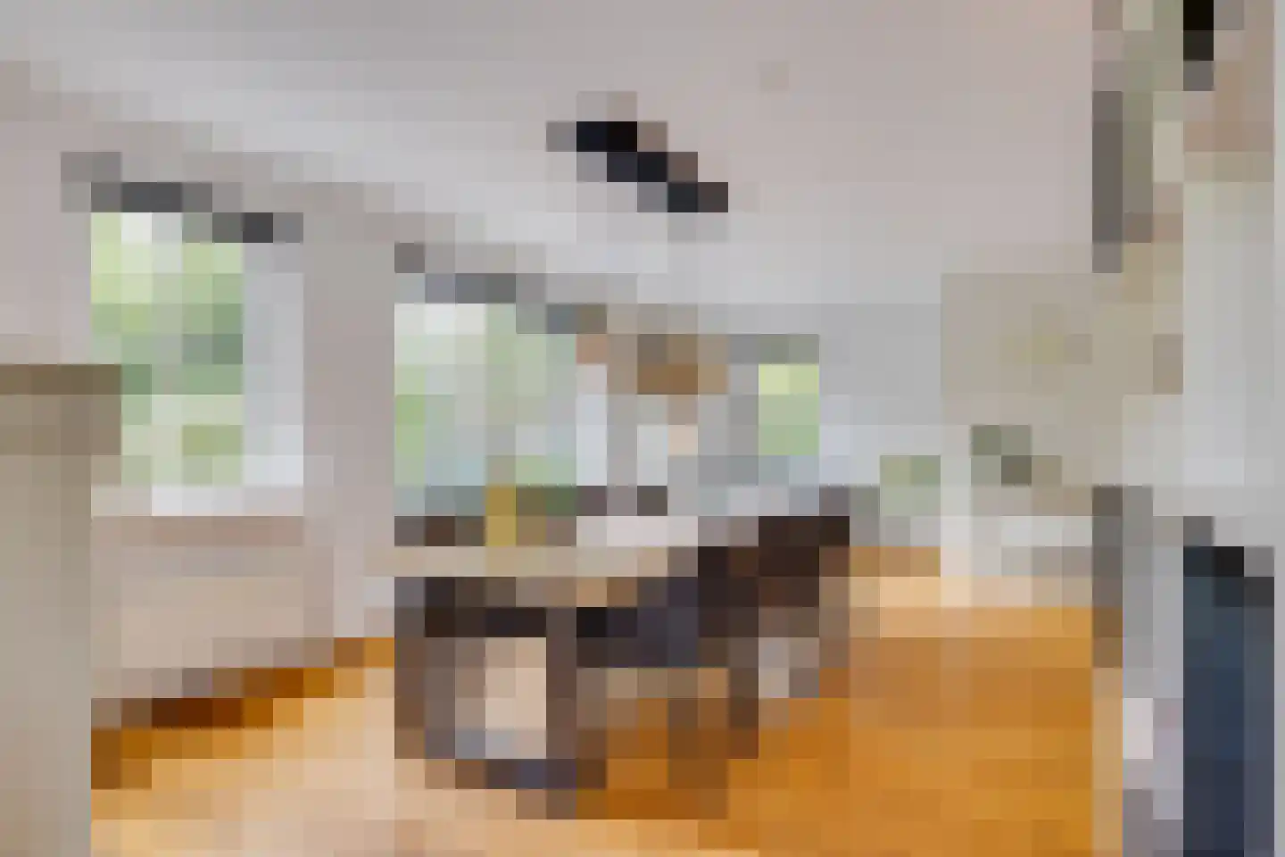 Spoorlaan 75 Hollandsche Rading thumbnail 15