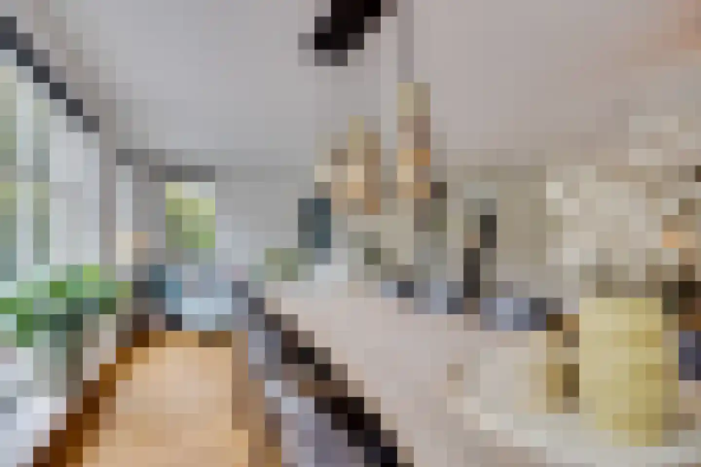 Spoorlaan 75 Hollandsche Rading thumbnail 16