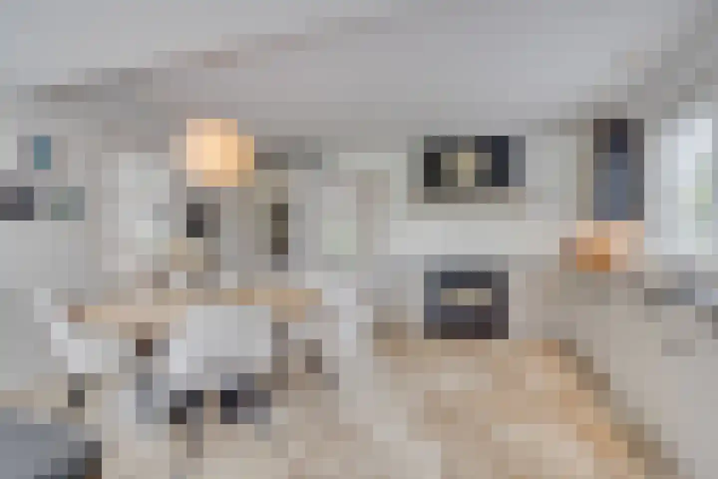 Spoorlaan 75 Hollandsche Rading thumbnail 24