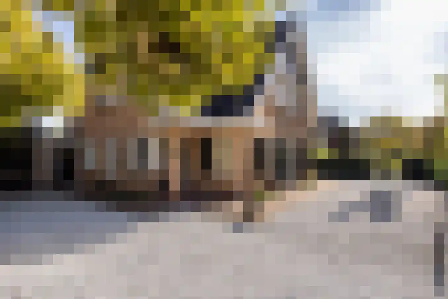 Spoorlaan 75 Hollandsche Rading thumbnail 4