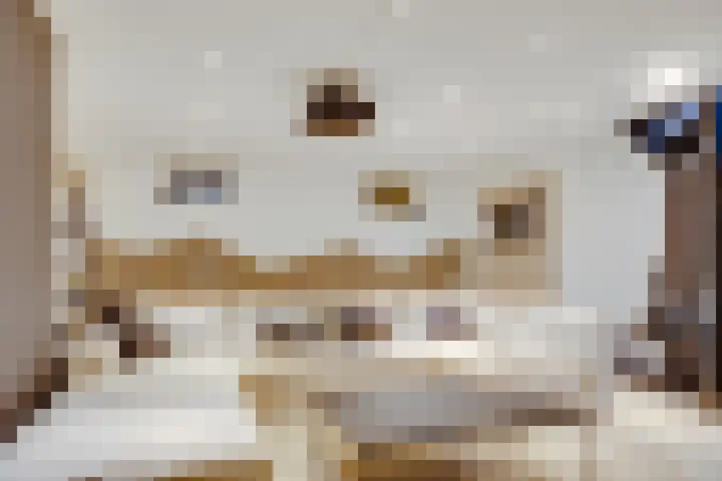Spoorlaan 75 Hollandsche Rading thumbnail 45
