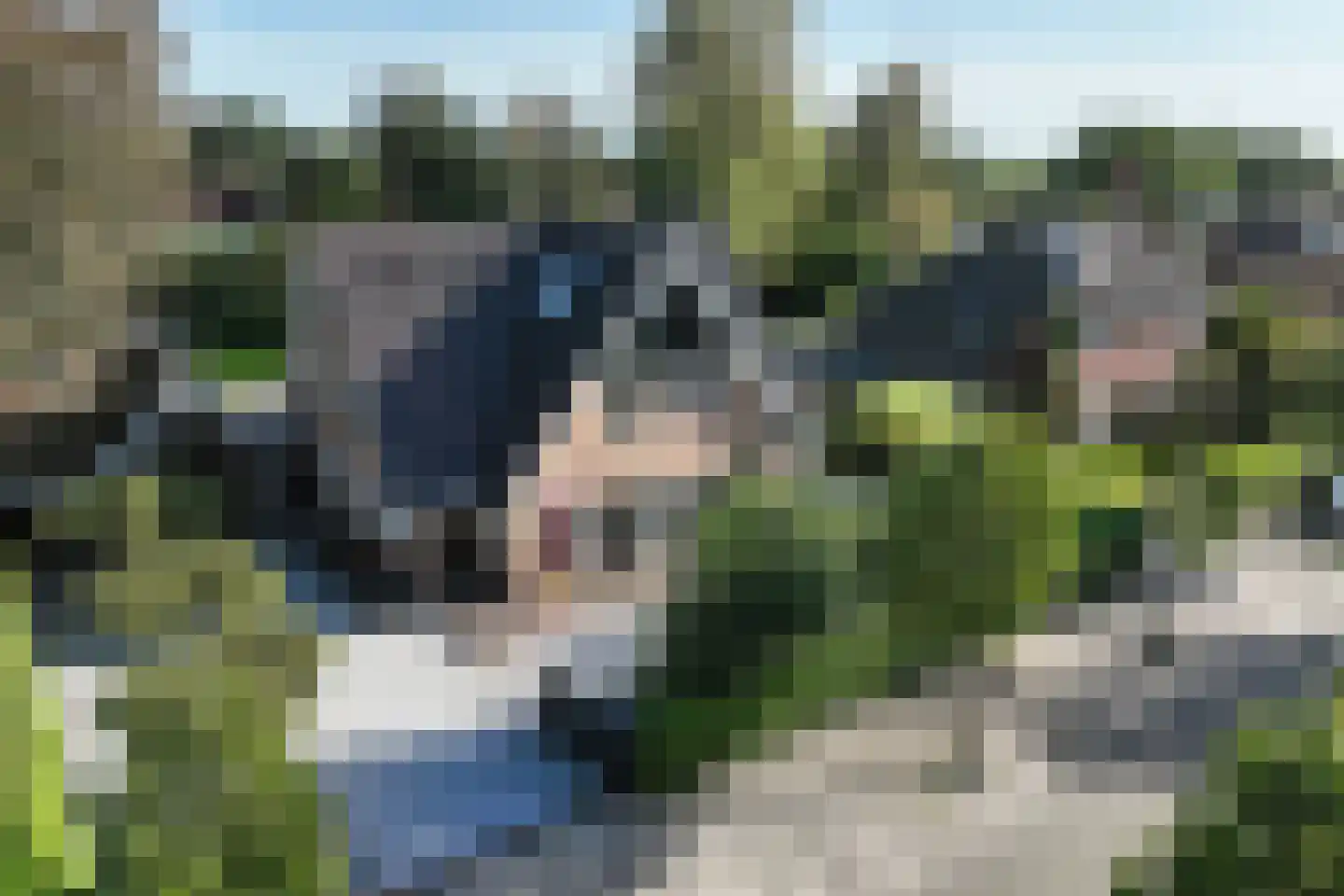 Spoorlaan 75 Hollandsche Rading thumbnail 5