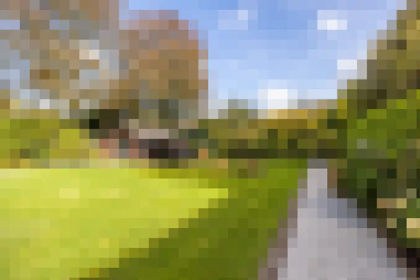 Spoorlaan 75 Hollandsche Rading thumbnail 50