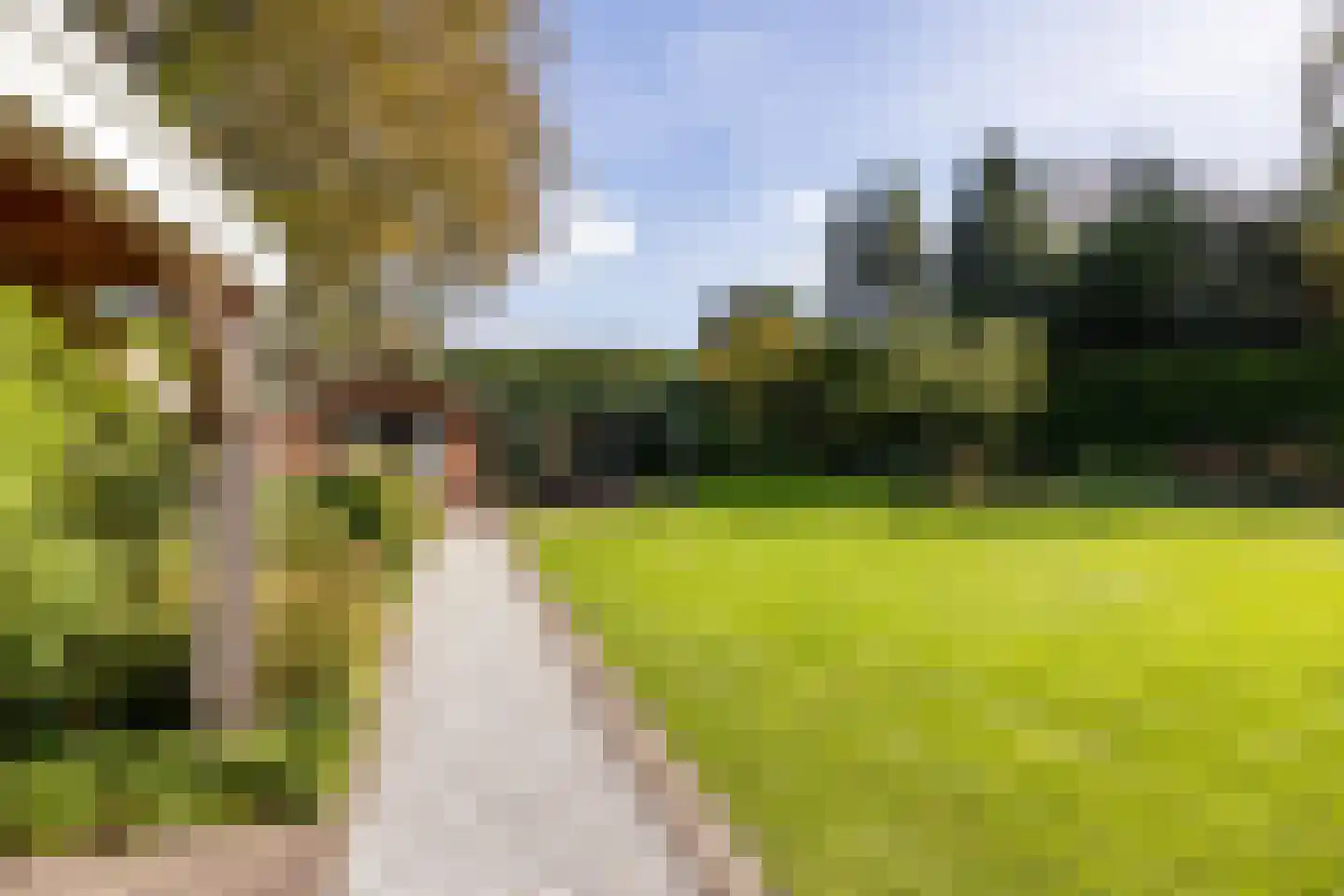 Spoorlaan 75 Hollandsche Rading thumbnail 51