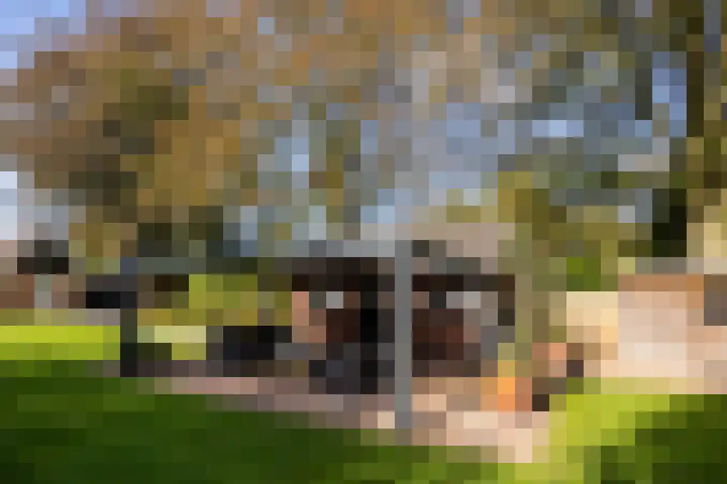 Spoorlaan 75 Hollandsche Rading thumbnail 52
