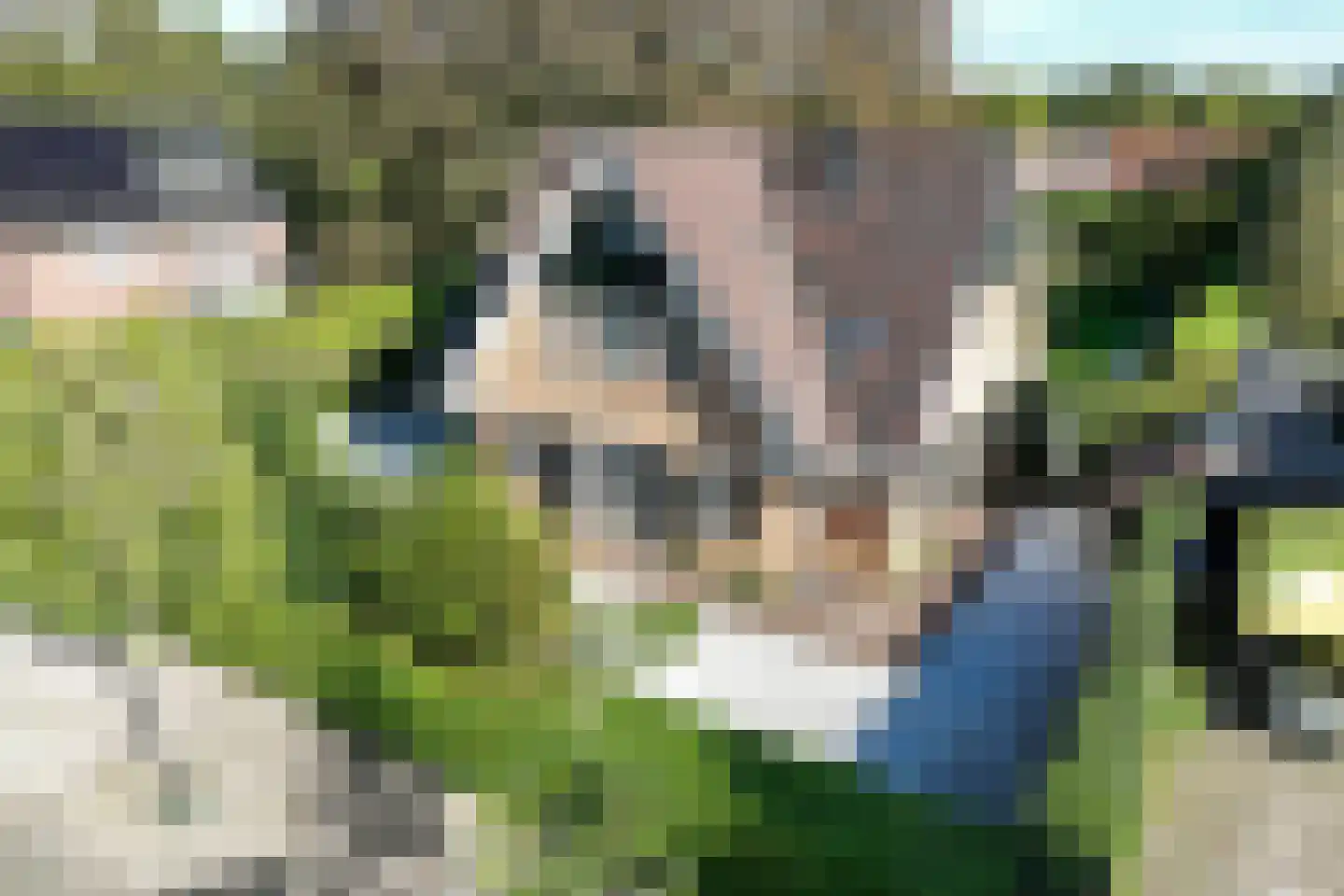 Spoorlaan 75 Hollandsche Rading thumbnail 6