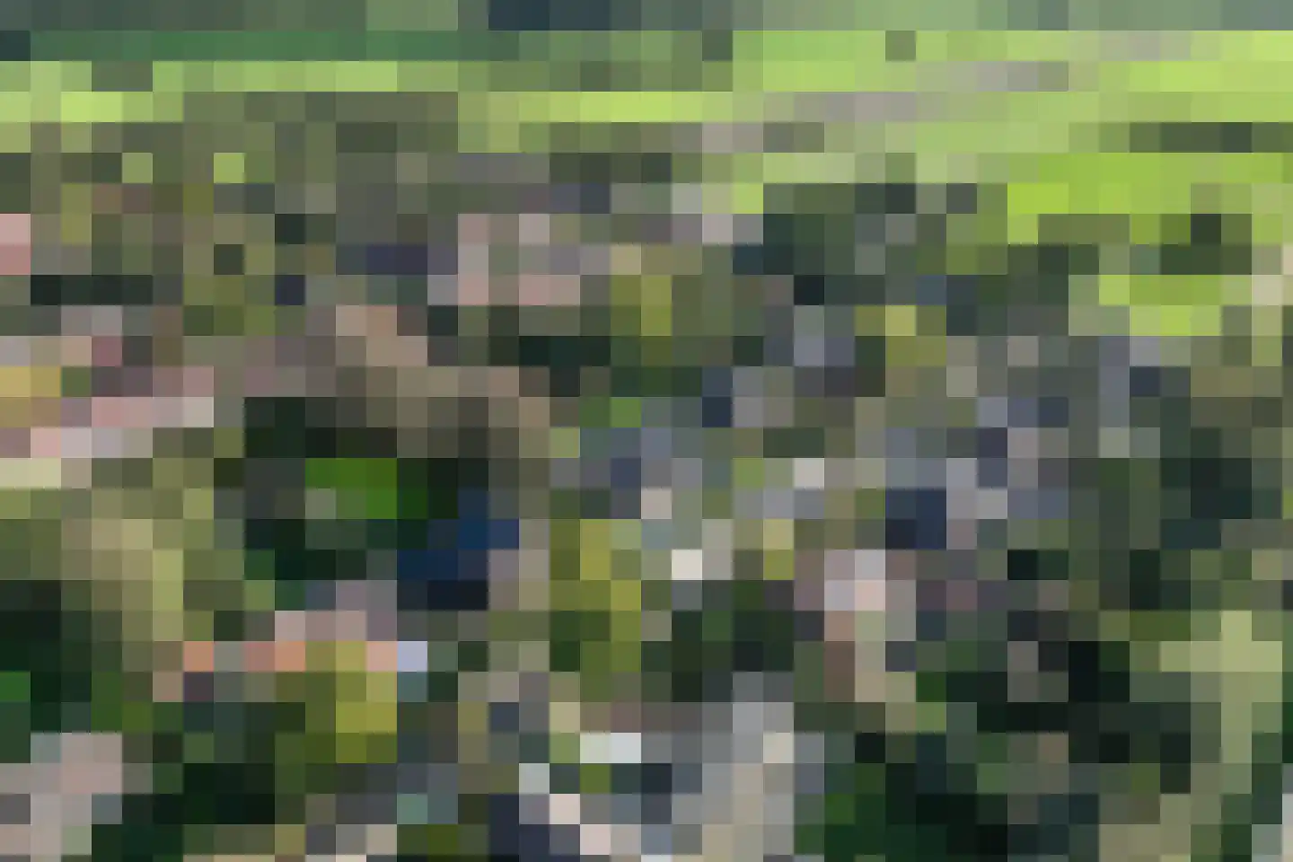 Spoorlaan 75 Hollandsche Rading thumbnail 66