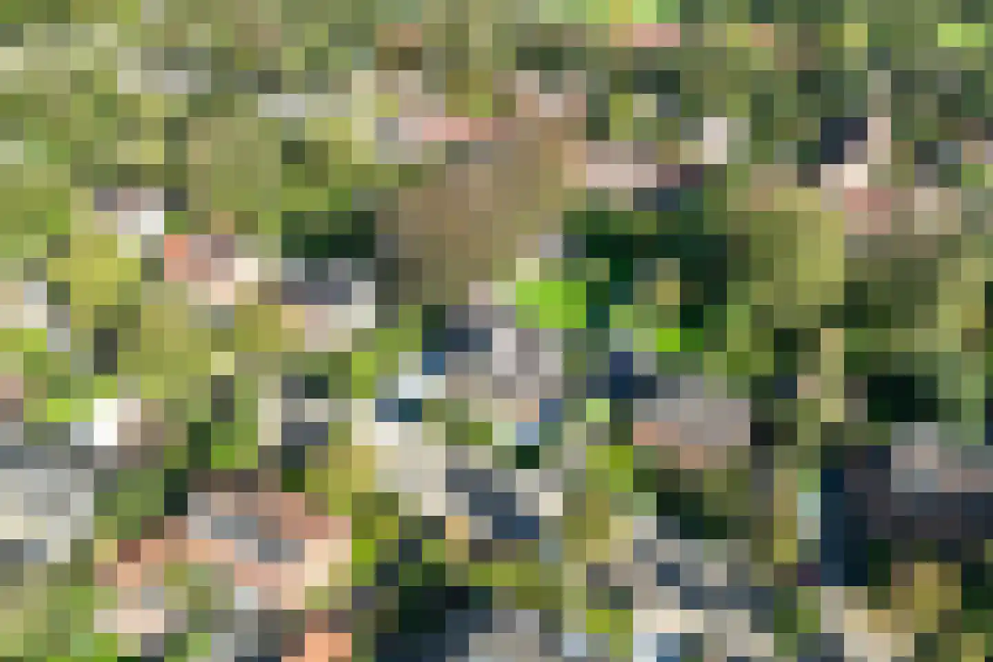 Spoorlaan 75 Hollandsche Rading thumbnail 67